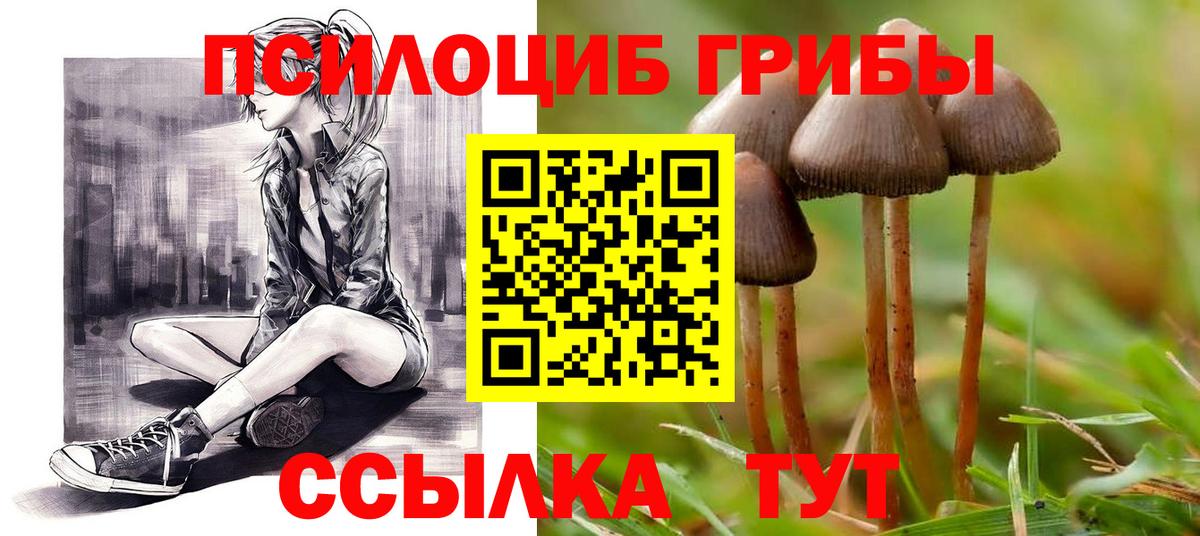 Псилоцибиновые грибы Psilocybe  дарнет шоп  Семёнов  Вход с VPN 