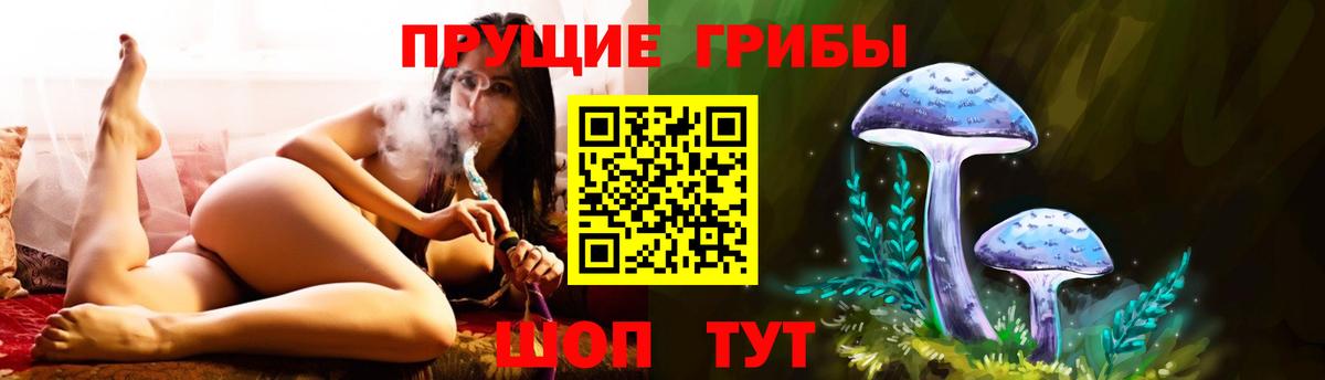 Галлюциногенные грибы Psilocybe Семёнов